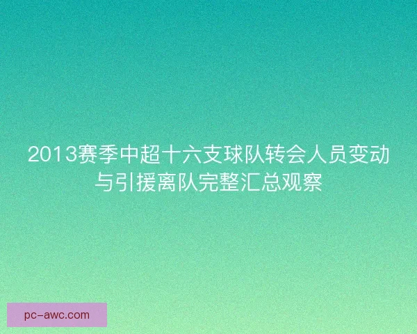 2013赛季中超十六支球队转会人员变动与引援离队完整汇总观察 2013赛季中超十六支球队转会人员变动与引援离队完整汇总观察