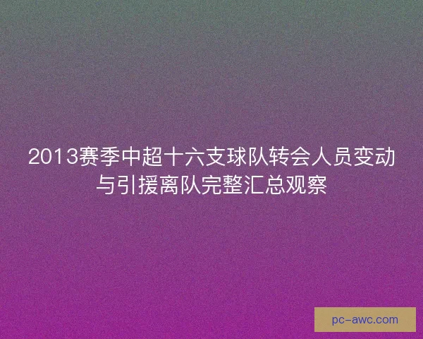 2013赛季中超十六支球队转会人员变动与引援离队完整汇总观察