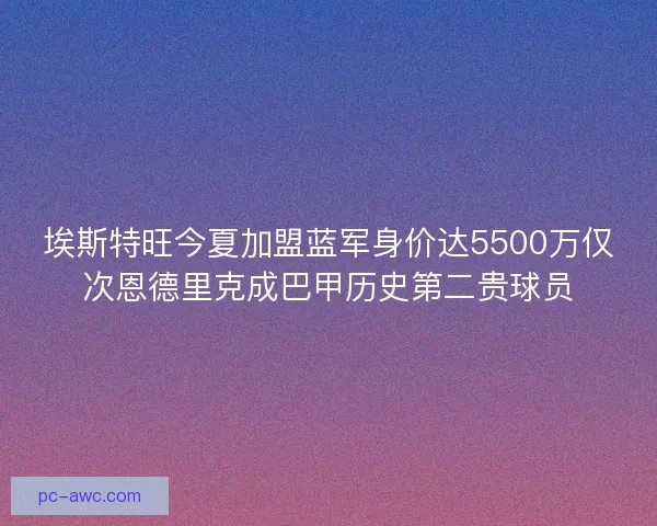 埃斯特旺今夏加盟蓝军身价达5500万仅次恩德里克成巴甲历史第二贵球员 埃斯特旺今夏加盟蓝军身价达5500万仅次恩德里克成巴甲历史第二贵球员