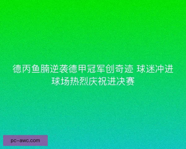 德丙鱼腩逆袭德甲冠军创奇迹 球迷冲进球场热烈庆祝进决赛