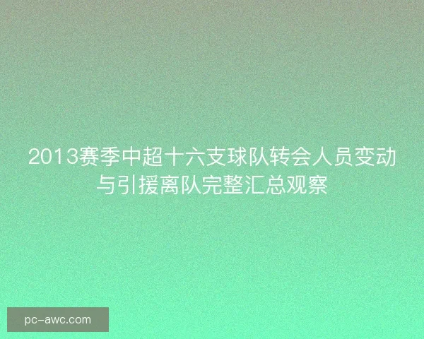 2013赛季中超十六支球队转会人员变动与引援离队完整汇总观察